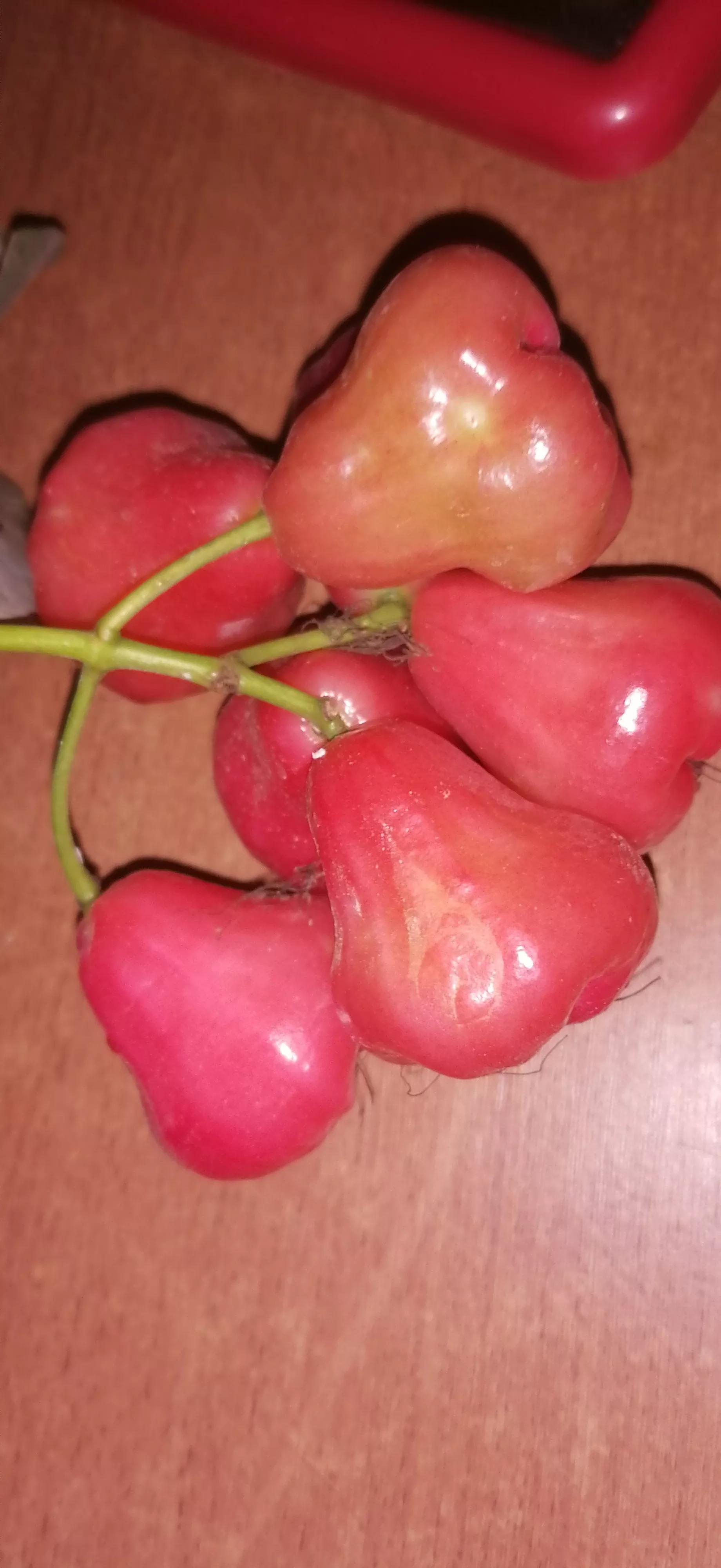 印度尼西亚吃的特产水果,印度尼西亚水果有哪些