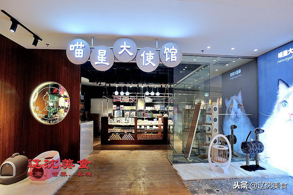 沈阳最时尚的购物广场,沈阳最新购物商场