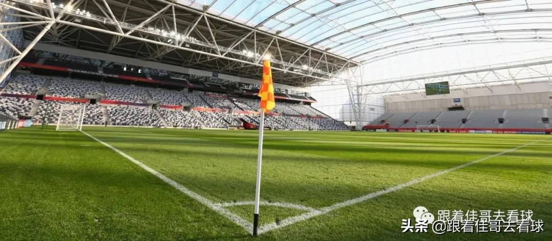 2023女足世界杯举办国家,2023女足世界杯举办