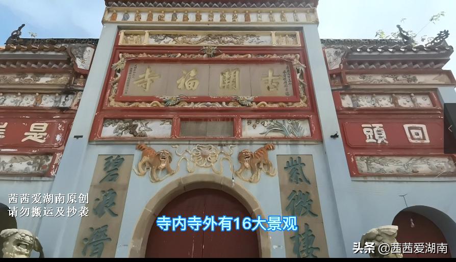 湖南长沙古寺开福寺,开福寺千年古树