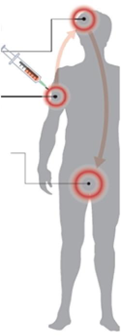 怎么处理违法犯罪人员,如何处理遇到的犯罪活动