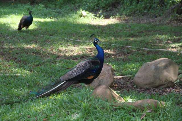 东莞巴西自助烤肉,东莞市区好吃的巴西烤肉