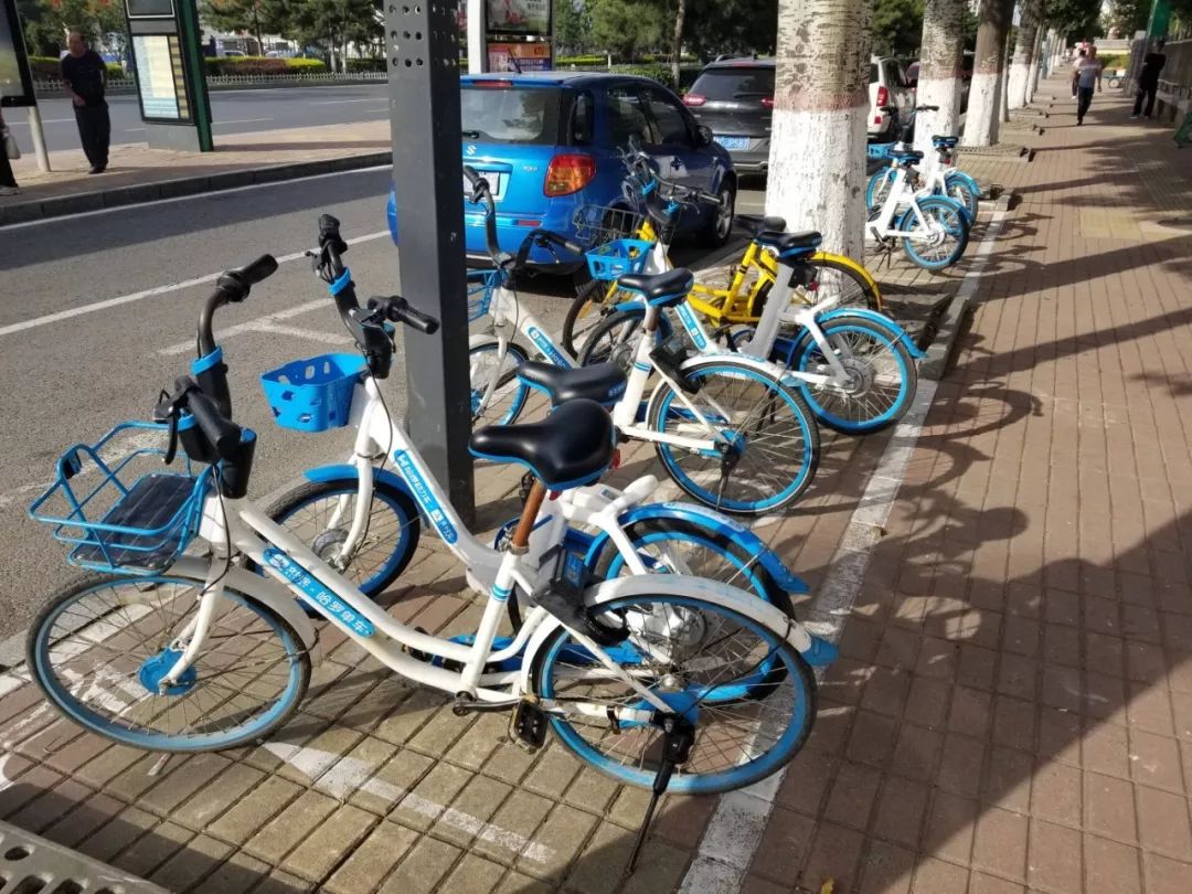 秦皇岛最值得去的酒店,秦皇岛海边好点的酒店推荐哪家