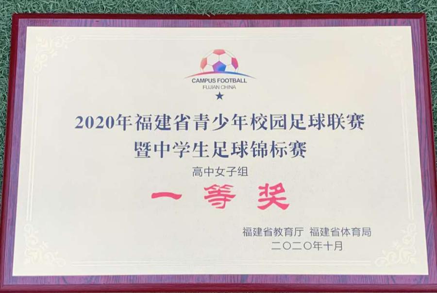 喜报我校足球队喜获甲组乙级亚军,喜报我校足球队再创佳绩