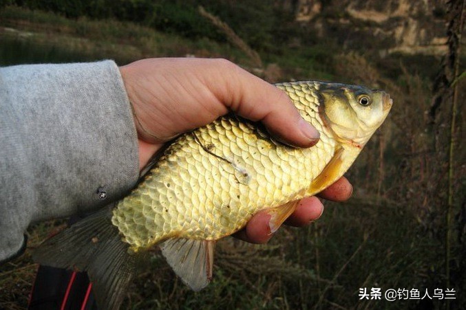 北京野钓的最佳钓点,北京野钓鲫鱼用什么饵料