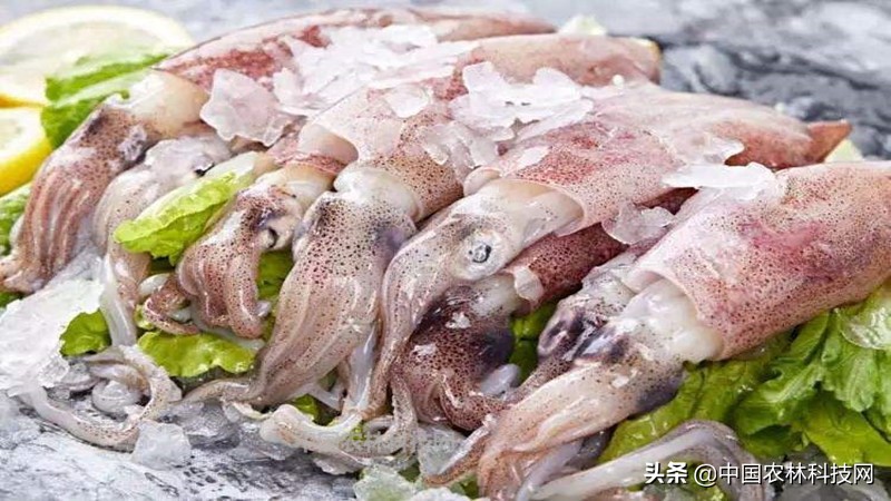 春节快到了买年货注意什么,过年海鲜干货类年货必备