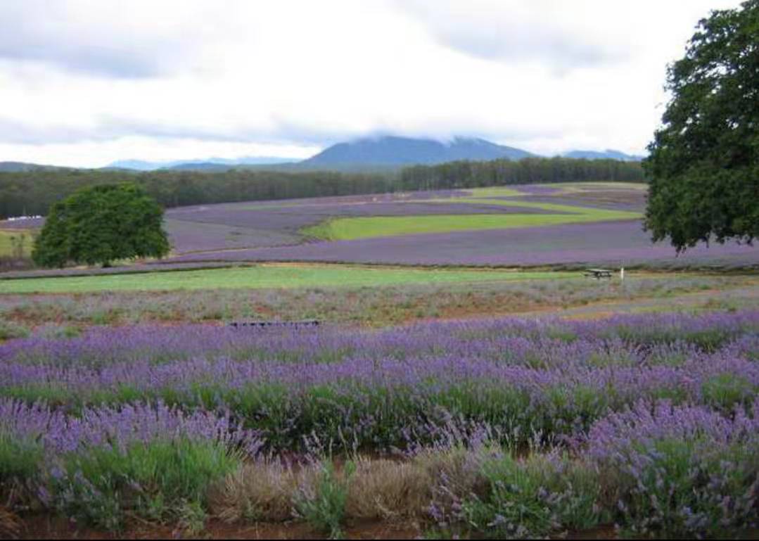 被大山围住的县城,被大山包围了