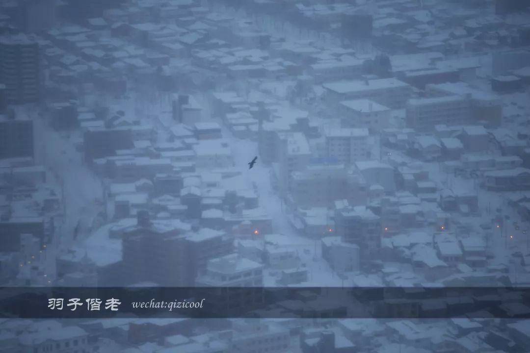 不会日语日本自由行好吗,不会日语的北海道自由行攻略