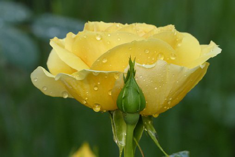 句句大实话人生感悟正能量分享,人生感悟语录句句正能量