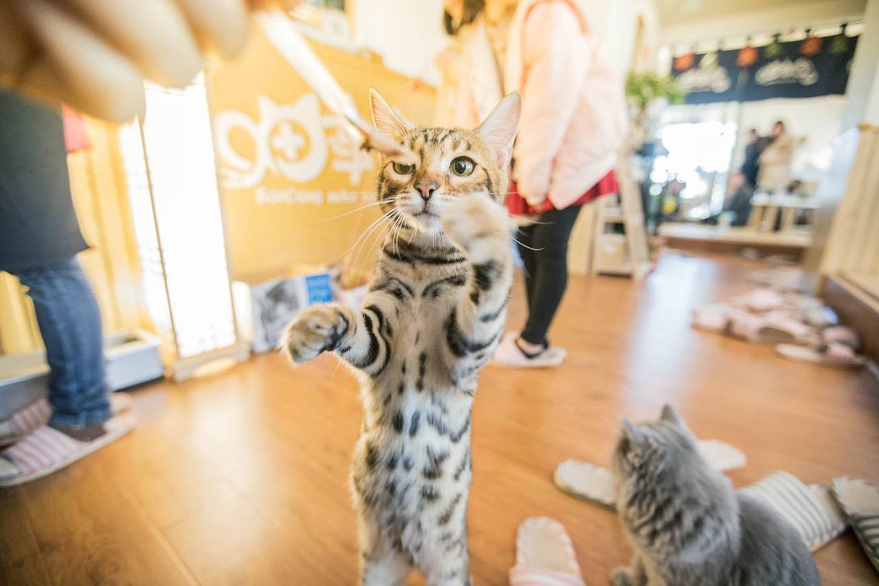 美男子玩最终幻想,美男最终幻想