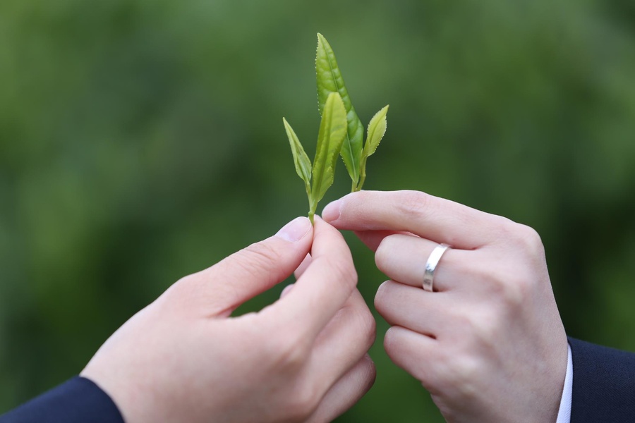世界天坑之旅全集,世界天坑镇巴宣传片