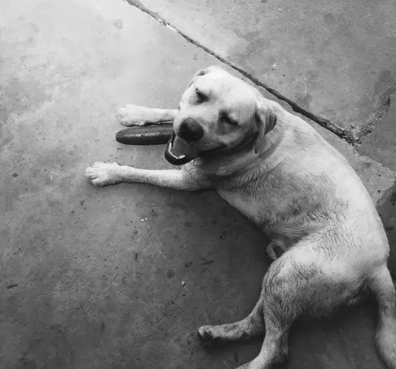 性质温和面膜可以天天敷吗,一天敷一次面膜频繁吗