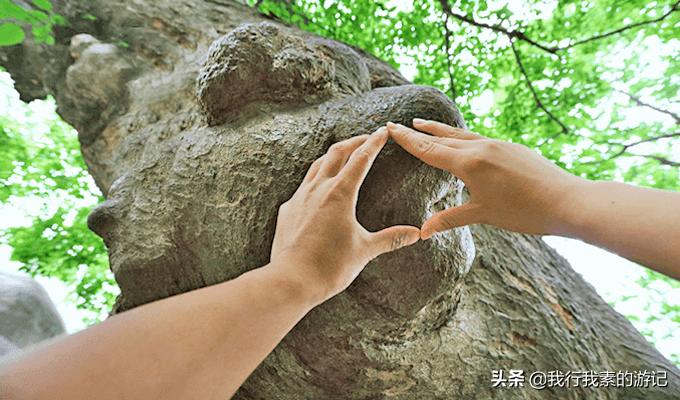 崂山最佳攻略,崂山详细讲解