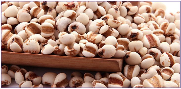 日本naturie薏仁水哪个版本更好,naturie薏仁水含日本原料吗