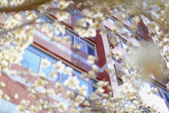 揭秘！北京“最国际范儿”大学之一：周总理关怀创办，创下多次全国第一！