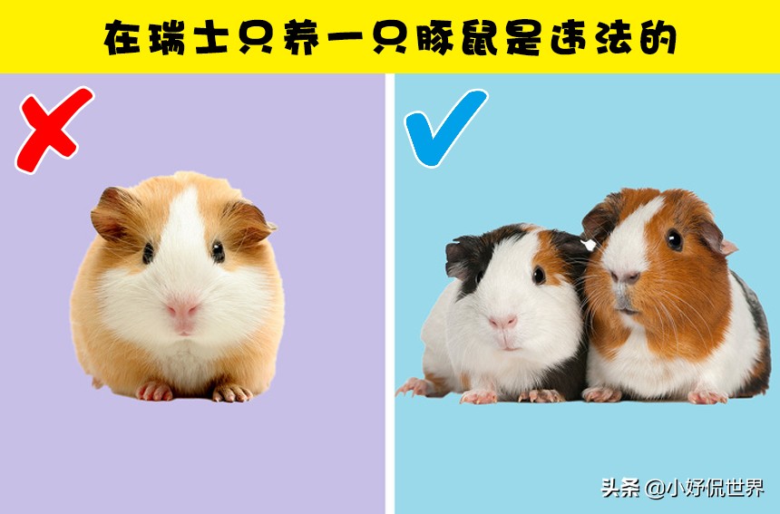 那些比书本有趣的冷知识,课本冷知识