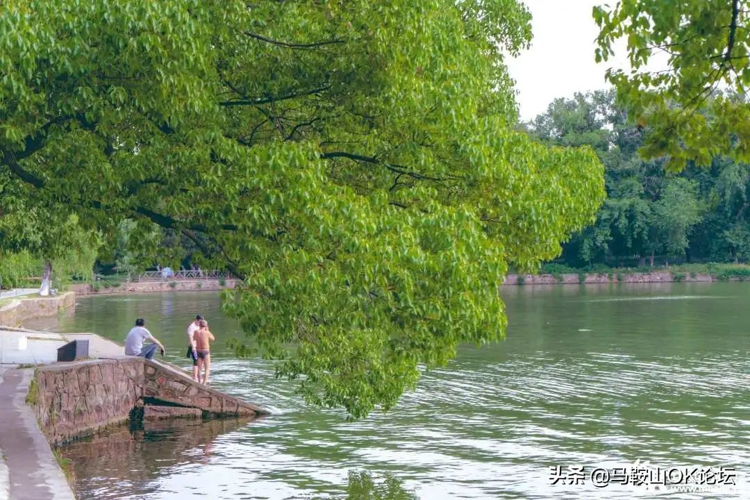 唰，就绿了！马鞍山夏天的n+1种样子