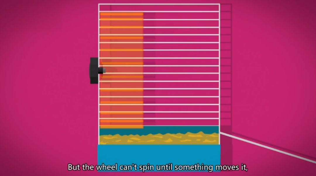 假期儿童纪录片推荐经典,青少年假期推荐纪录片