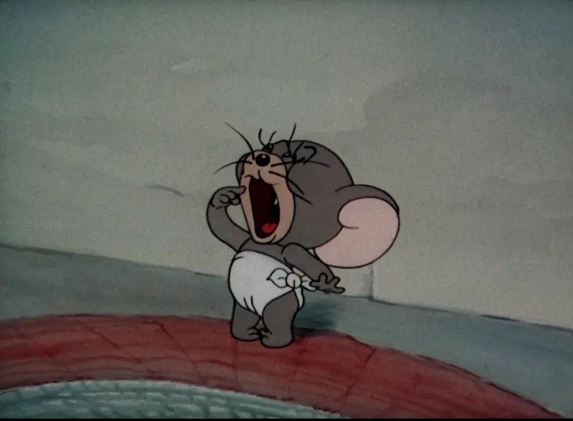 猫和老鼠汤姆和杰瑞永远是好朋友,猫和老鼠杰瑞和汤姆第一次合作