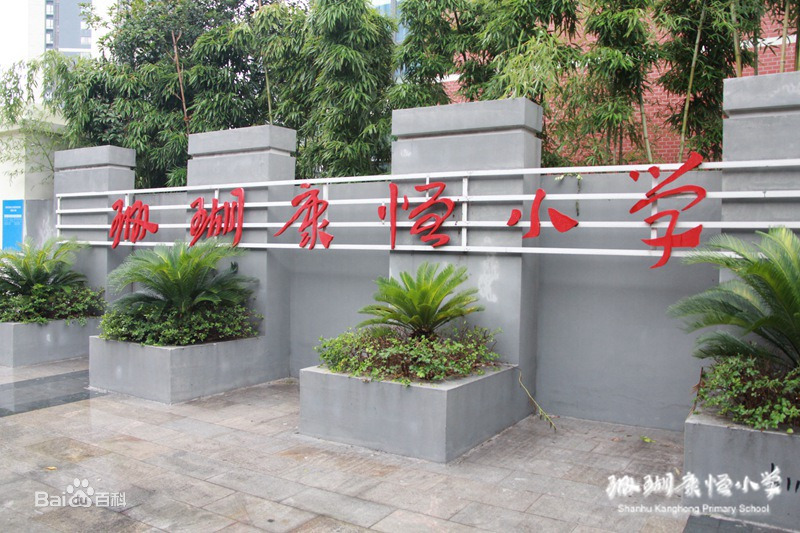 南岸区珊瑚实验小学校,南岸区珊瑚小学的片区