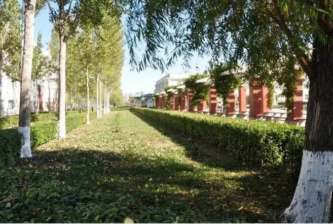 天津市独立院校（四）天津财经大学珠江学院