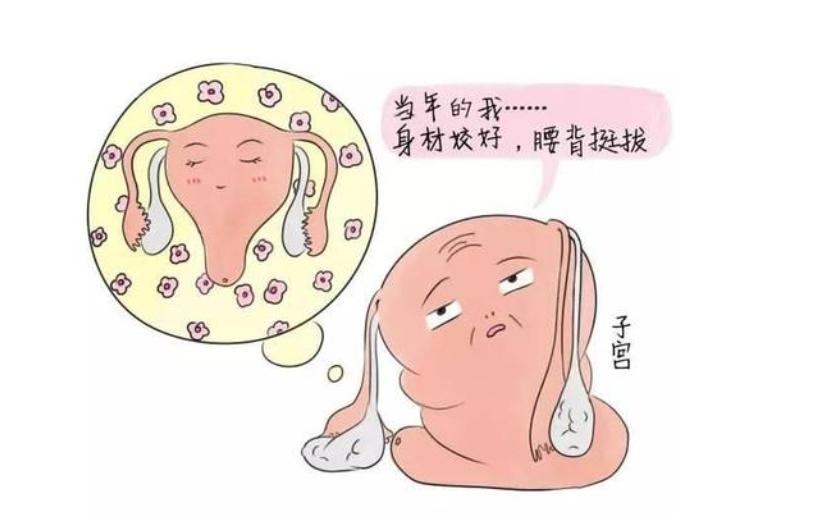 孕早期胃口不好推荐食谱,孕反没胃口吃什么好可以改善