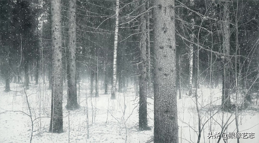 1440个小时的涅槃之画：黎明之树，佐藤裕一郎的心之风景