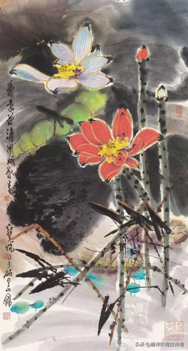 花开花谢无间断春来不相干赏析,春来春去春光好