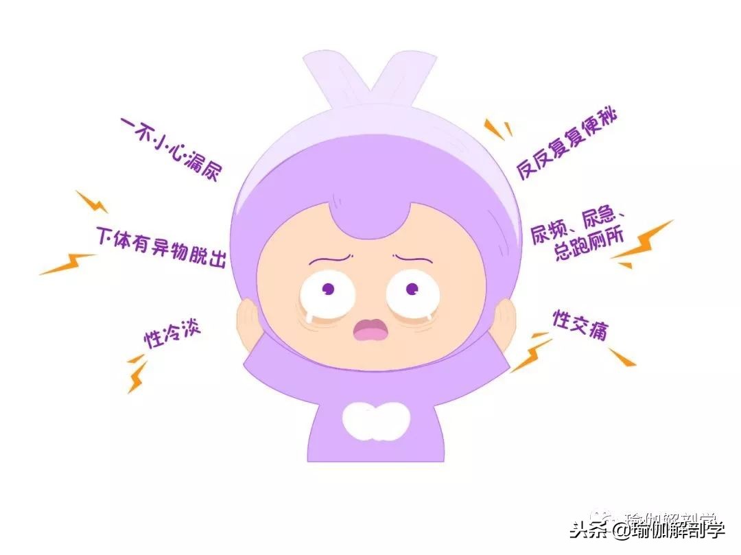 产后盆底肌修复和腹直肌修复区别 (产后修复盆底肌凯格尔运动30分钟)