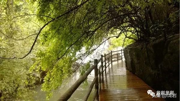 龙岩清凉避暑好去处,龙岩拍照有氛围感的地方