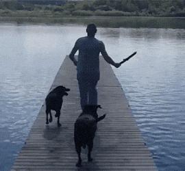 搞笑gif开心一刻单身也挺好,搞笑gif开心视频