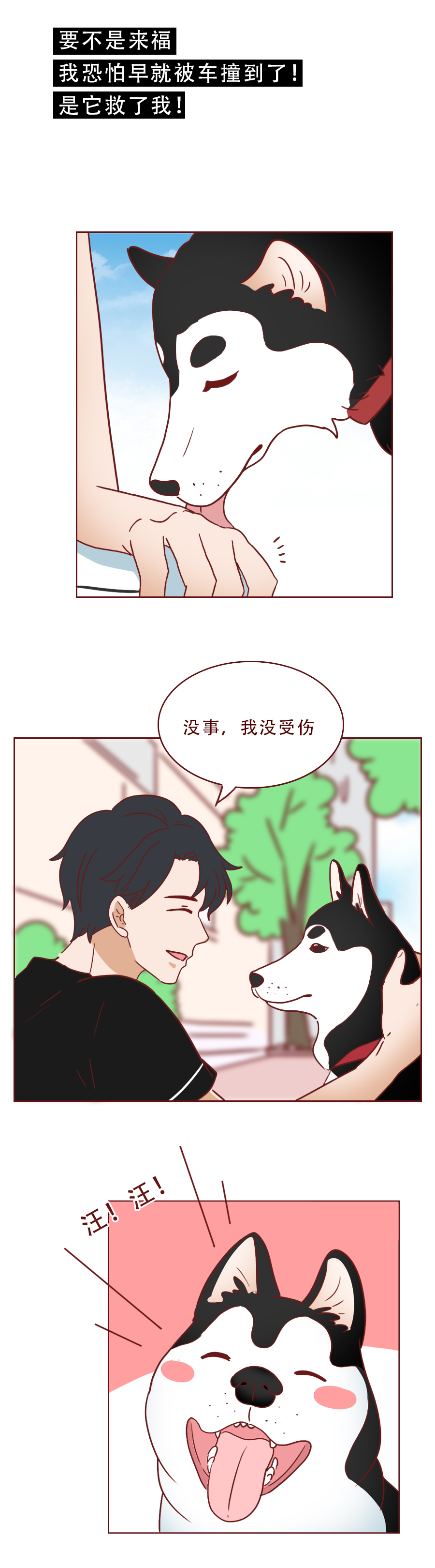 捡了一只猫好像抑郁了怎么办,一只抑郁症猫咪被救赎的故事