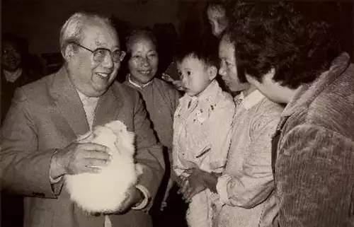 互联网代替不了的门店生意有哪些,互联网时代的线下生意