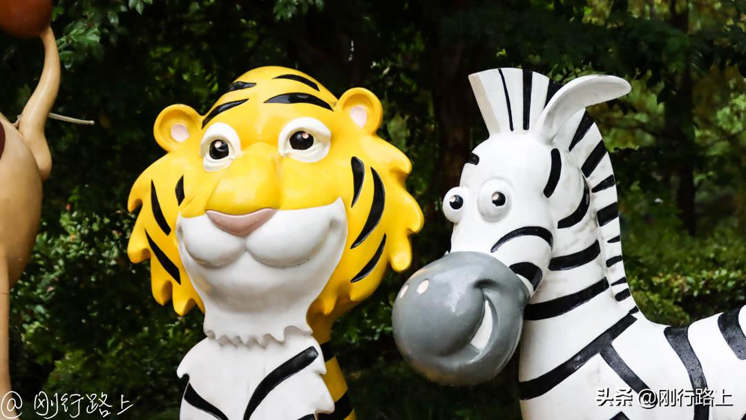 上海野生动物园攻略，一个适合亲子游玩的地方