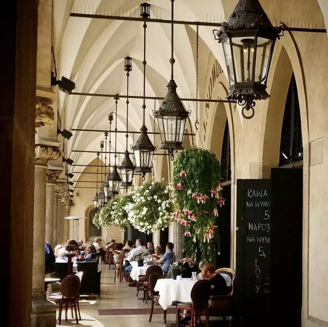 横冲直撞20岁波兰,横冲直撞20岁评价