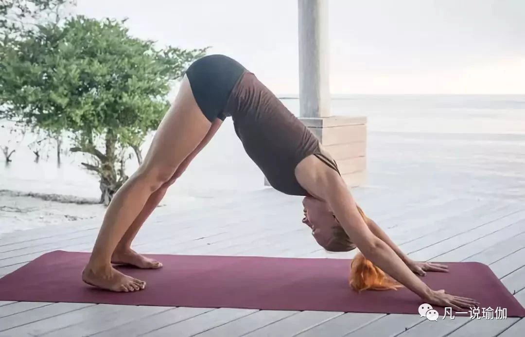 初学者怎么练下犬式,如何练习下犬式