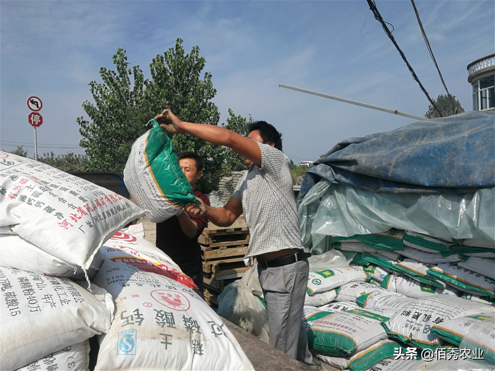 农民种植业赚钱吗现在,农村什么种植业最挣钱的