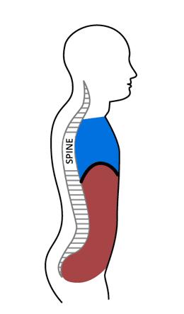 肩颈疼痛不能用力,肩颈疼不能转头怎么办