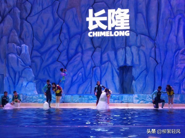 网上的珠海长隆海洋王国,珠海长隆海洋王国游客体验