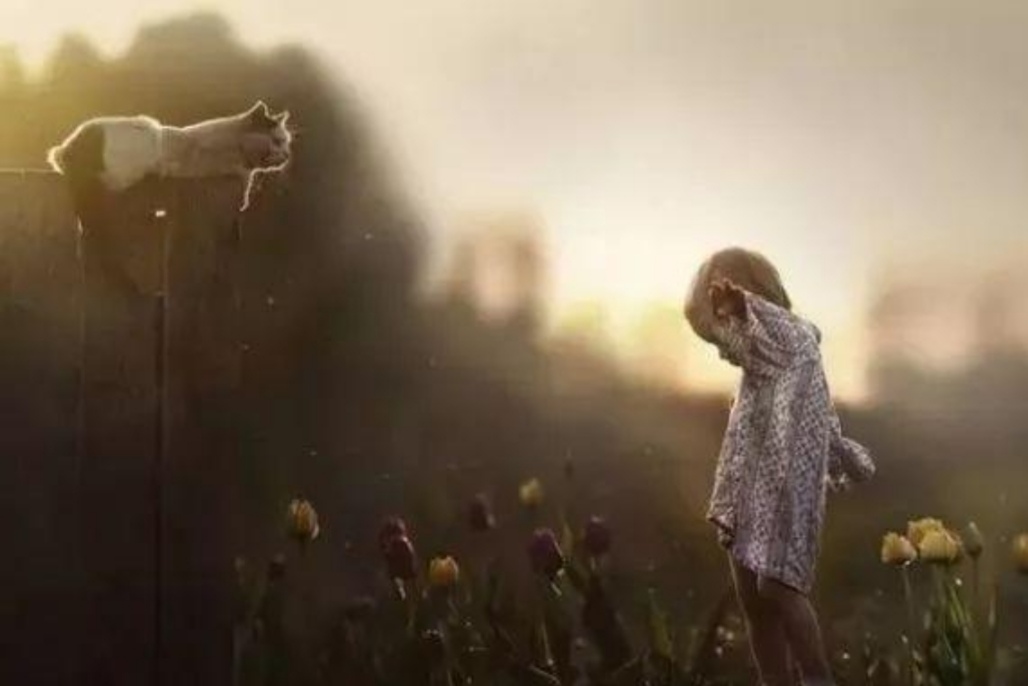 身教胜于言教下一句是啥,要懂得身教胜于言教