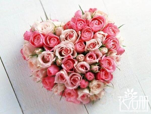 情人节送几支玫瑰比较好,情人节是送白玫瑰好还是红玫瑰好