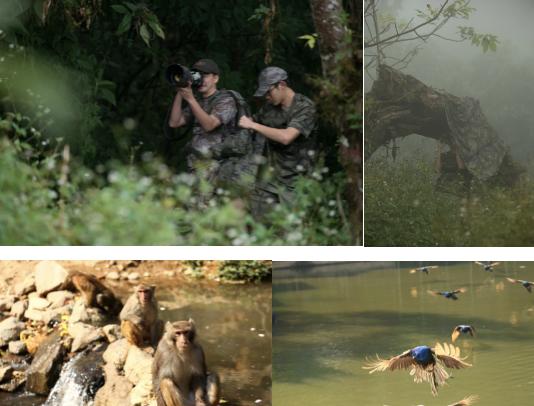 华为p40可以当望远镜用吗,华为p40可以代替望远镜吗