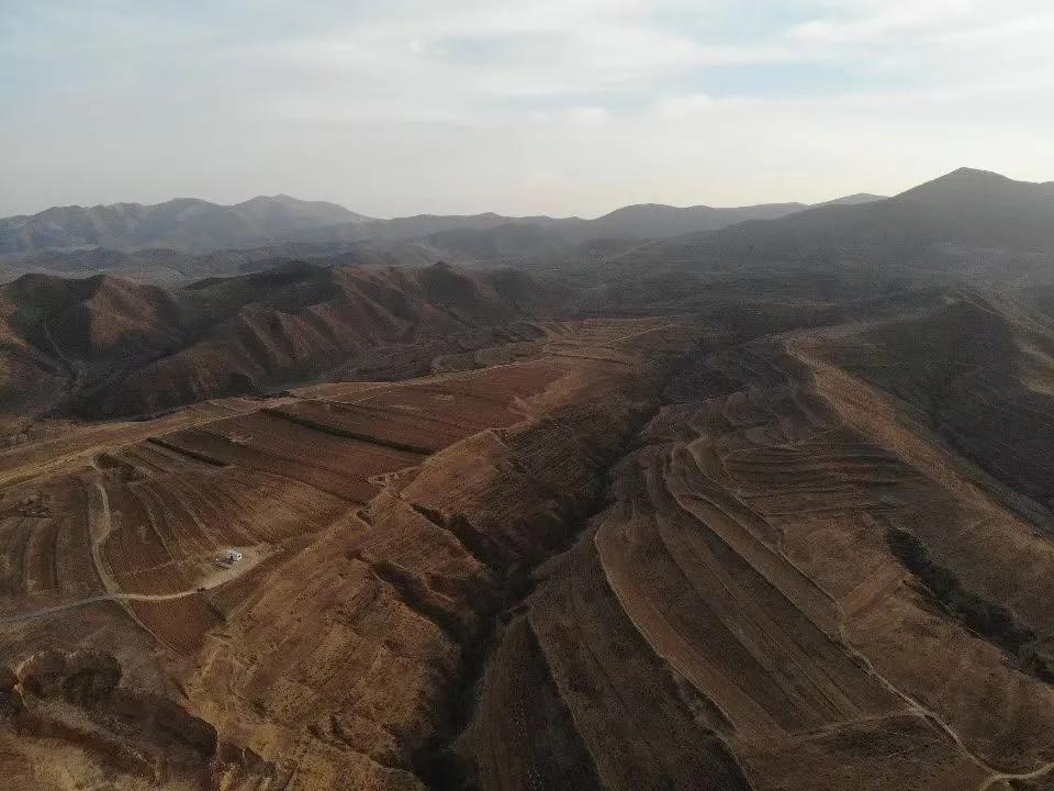 北京姑娘租的房子,北京姑娘自建房子