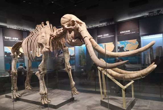 武汉景点免费网上预约,武汉景区免费景点推荐