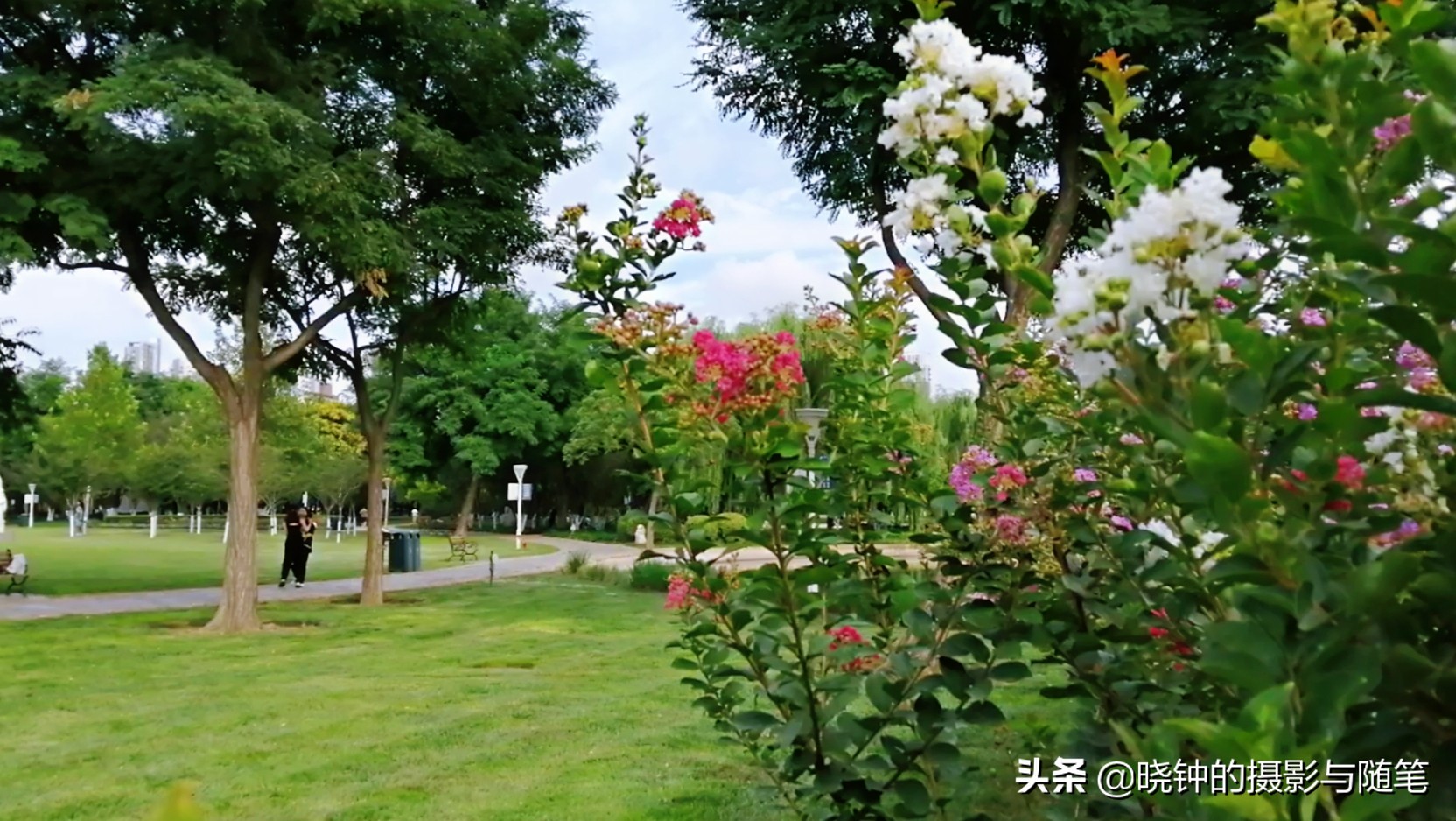 坐拥16万平方米绿地，草坪比20个足球场还大，天津这座公园厉害了