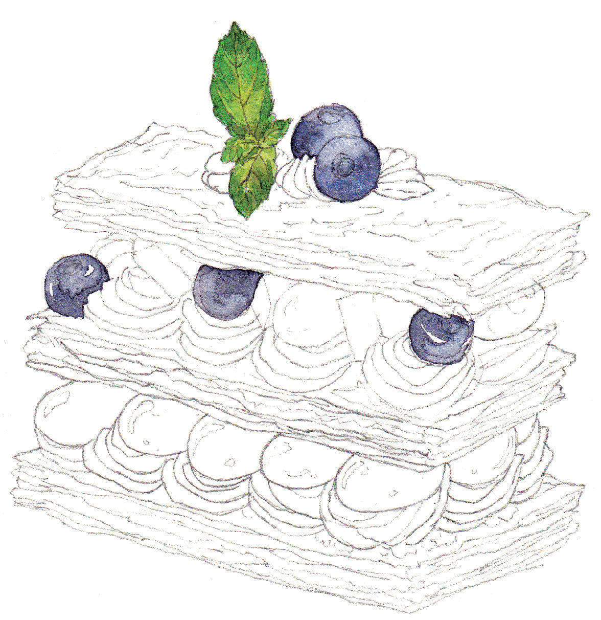 水彩葡萄蛋糕画法,水彩精致甜品教程