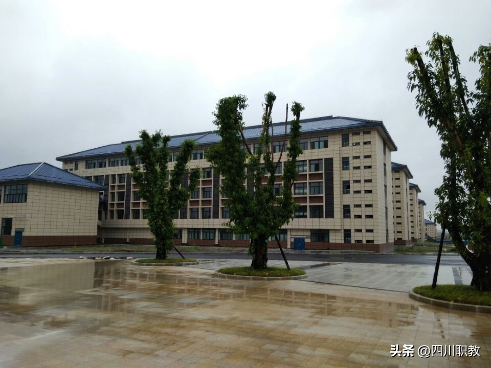 四川省高职单招公办学校推荐,高职单招达州职业技术学院收生