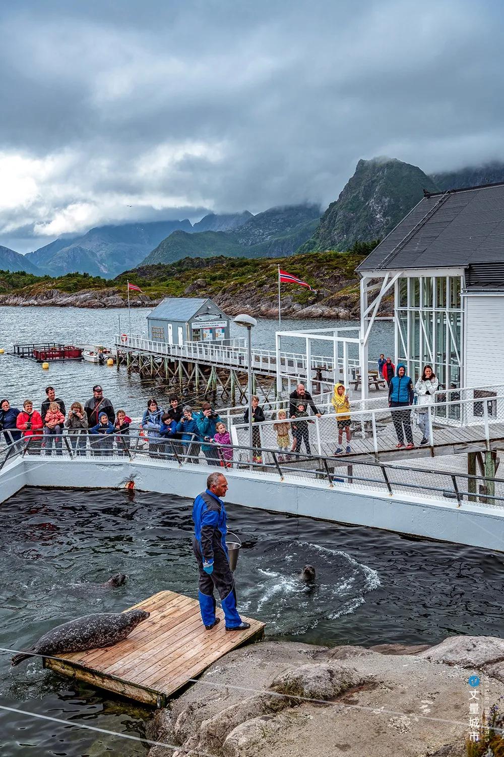 维京遇到全域旅游，美丽乡村、特色小镇一网打尽：挪威渔业史漫步