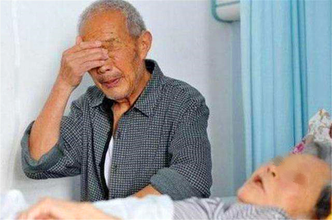 丁克的人晚年真的很惨吗,丁克生活的真实感受