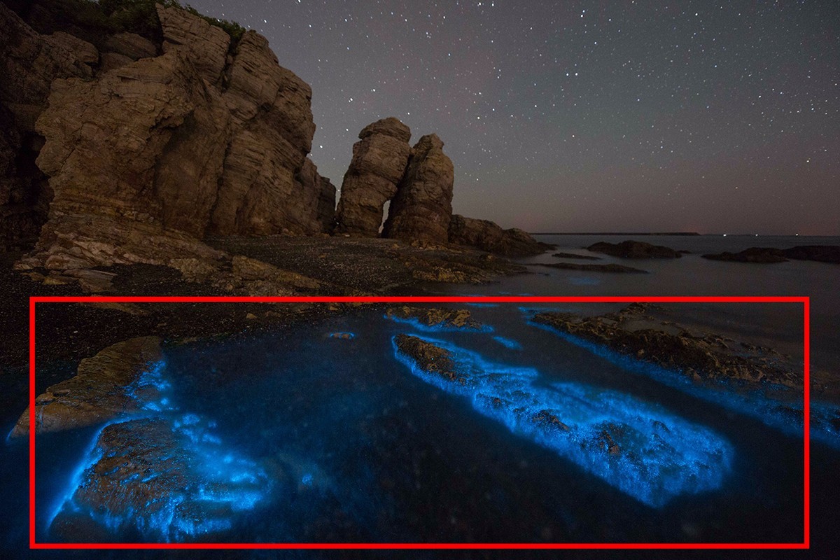 拍摄荧光海滩参数和技巧,夜晚怎么拍荧光海